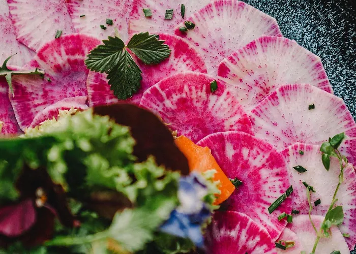 The Keep Eco * Solnohrad